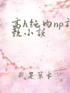 高h纯肉np调教小说