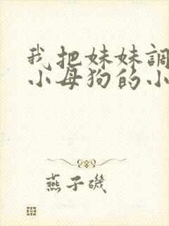 我把妹妹调教成小母狗的小说