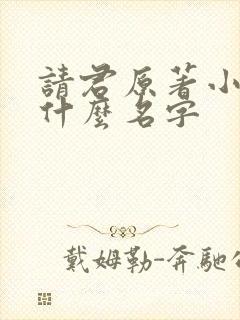 请君原著小说叫什么名字