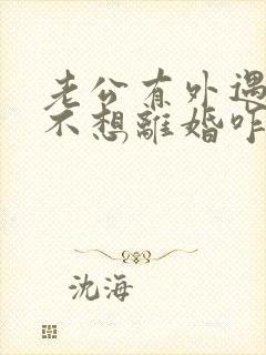 老公有外遇但他不想离婚咋办