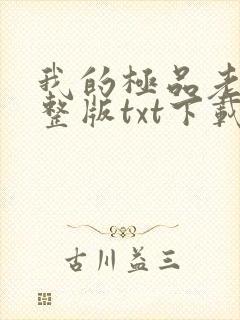 我的极品老婆完整版txt下载