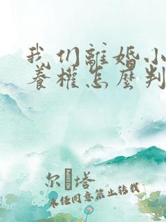 我们离婚小孩抚养权怎么判