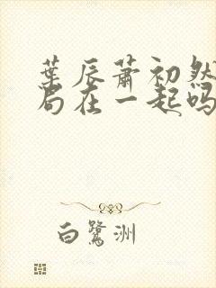 叶辰萧初然大结局在一起吗