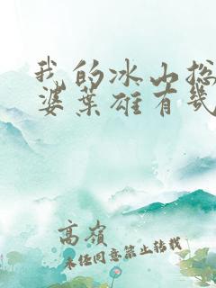 我的冰山总裁老婆叶雄有几个女人