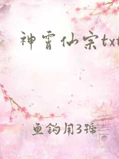 神霄仙宗txt