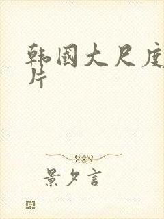 韩国大尺度犯罪片