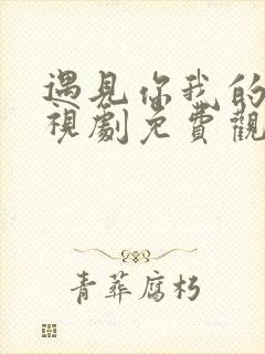 遇见你我的爱电视剧免费观看全集