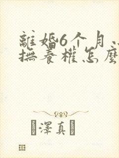 离婚6个月小孩抚养权怎么判定