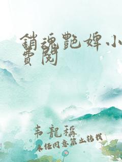 销魂艳婢小说免费阅