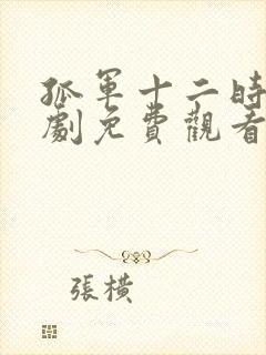 孤军十二时电视剧免费观看高清