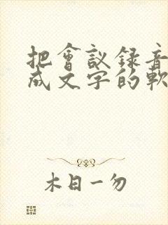 把会议录音转换成文字的软件