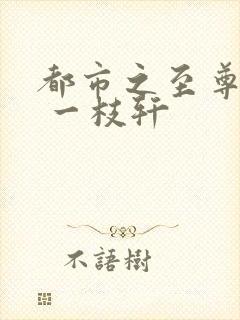 都市之至尊战神 一枝轩