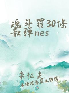 魂斗罗30条命散弹nes