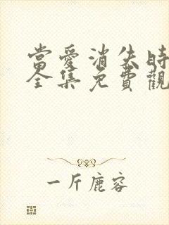 当爱消失时短剧全集免费观看