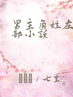 男主角姓左的全部小说