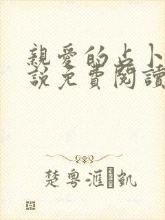 亲爱的占卜师小说免费阅读全文