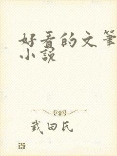 好看的文笔好的小说