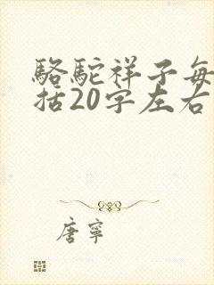 骆驼祥子每章概括20字左右