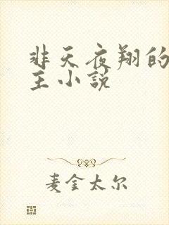 非天夜翔的双男主小说