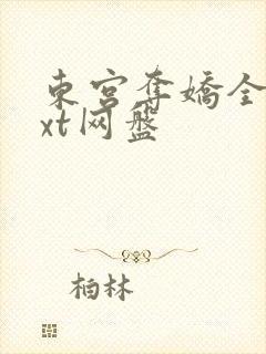 东宫夺娇全文txt网盘