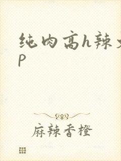 纯肉高h辣文np