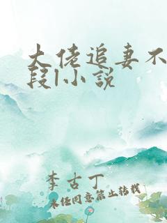 大佬追妻不择手段l小说
