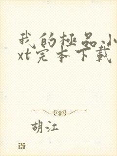 我的极品小姨txt完本下载