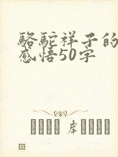 骆驼祥子的读后感悟50字