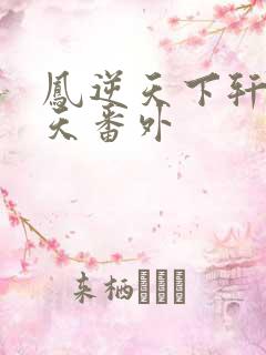 凤逆天下轩辕问天番外