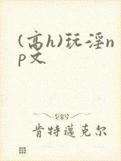 (高h)玩淫np文
