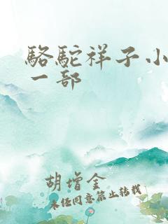 骆驼祥子小说第一部