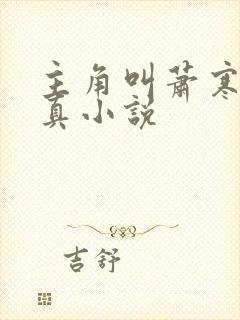 主角叫萧寒的修真小说