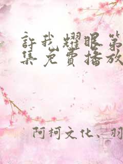 许我耀眼第11集免费播放