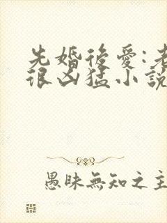 先婚后爱:老公很凶猛小说电子版txt