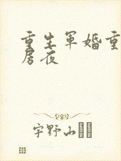 重生军婚重回洞房夜