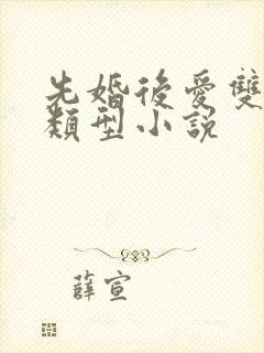 先婚后爱双男主类型小说