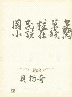 国民校草是女生小说在线阅读