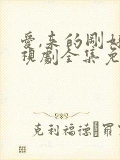 爱,来的刚好电视剧全集免费观看