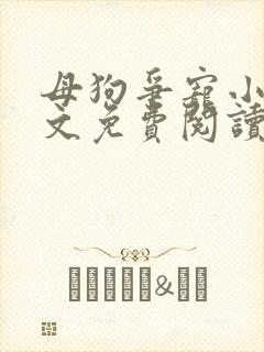 母狗争宠小说全文免费阅读最新章节