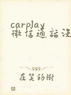 carplay微信通话没声音