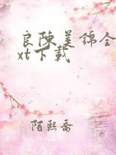 良陈美锦全文txt下载