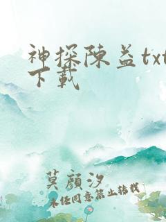 神探陈益txt下载