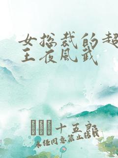 女总裁的超级兵王夜风武