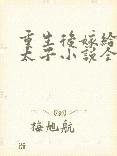 重生后嫁给敌国太子小说全文免费阅读