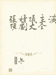 张婧仪主演的电视剧大全