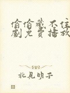 偷偷藏不住电视剧免费播放完整版19集