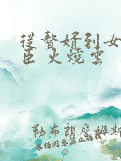 从赘婿到女帝宠臣 火烧云