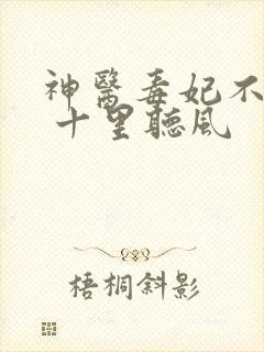 神医毒妃不好惹 十里听风