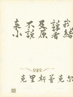 来不及说我爱你小说原著结局