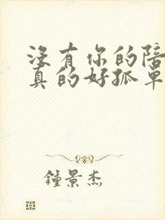 没有你的陪伴我真的好孤单